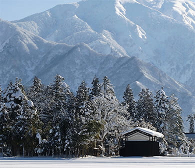 氷温熟成魚沼産コシヒカリ