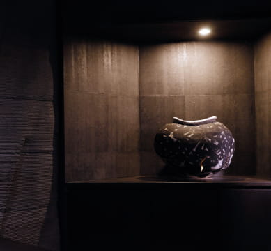 所属